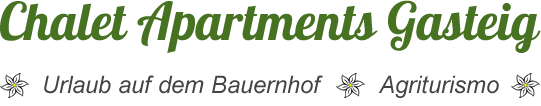 chalet apartments gasteig logo